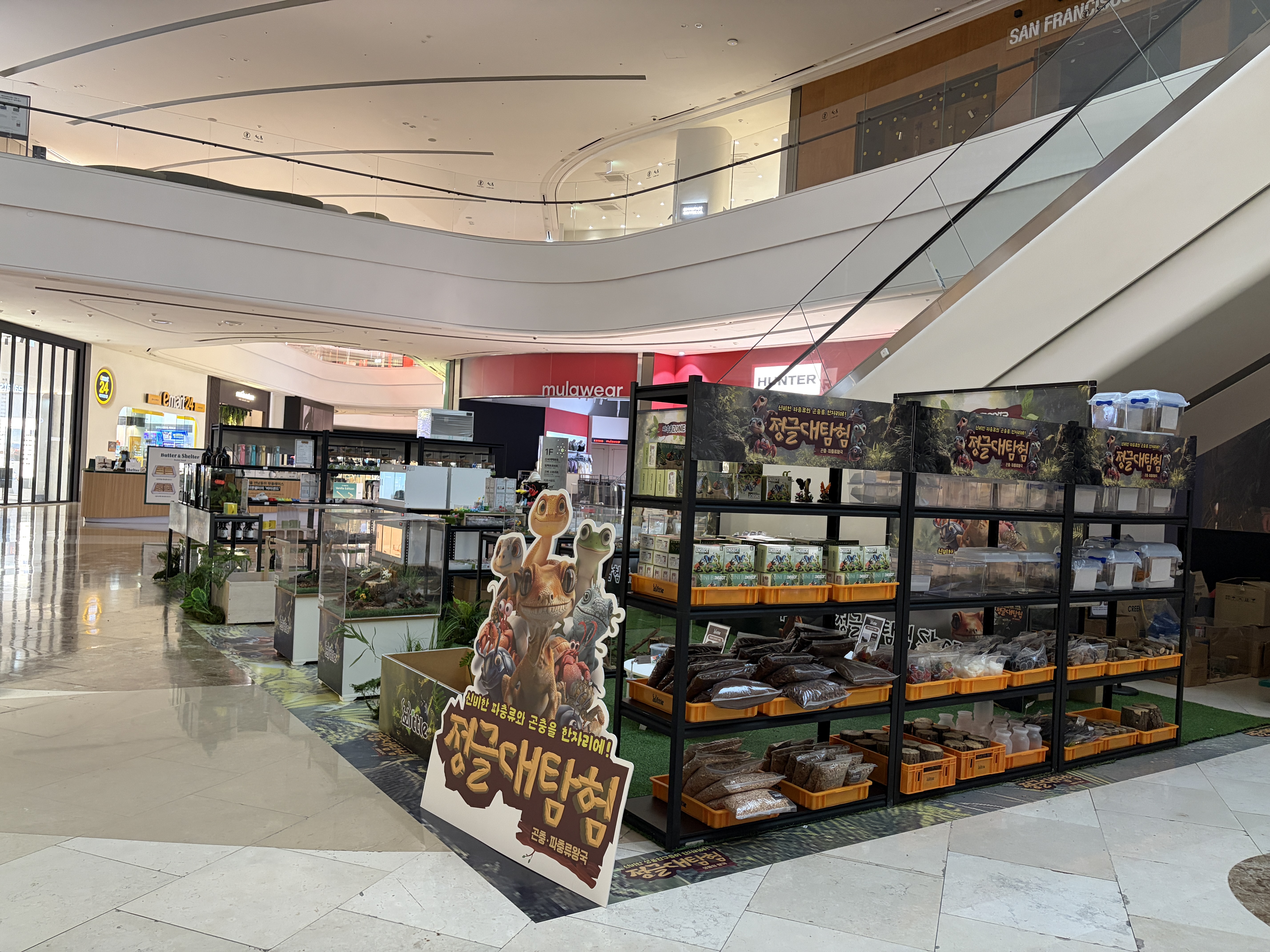 정글대탐험:곤충, 파충류왕국 in 스타필드마켓 경산